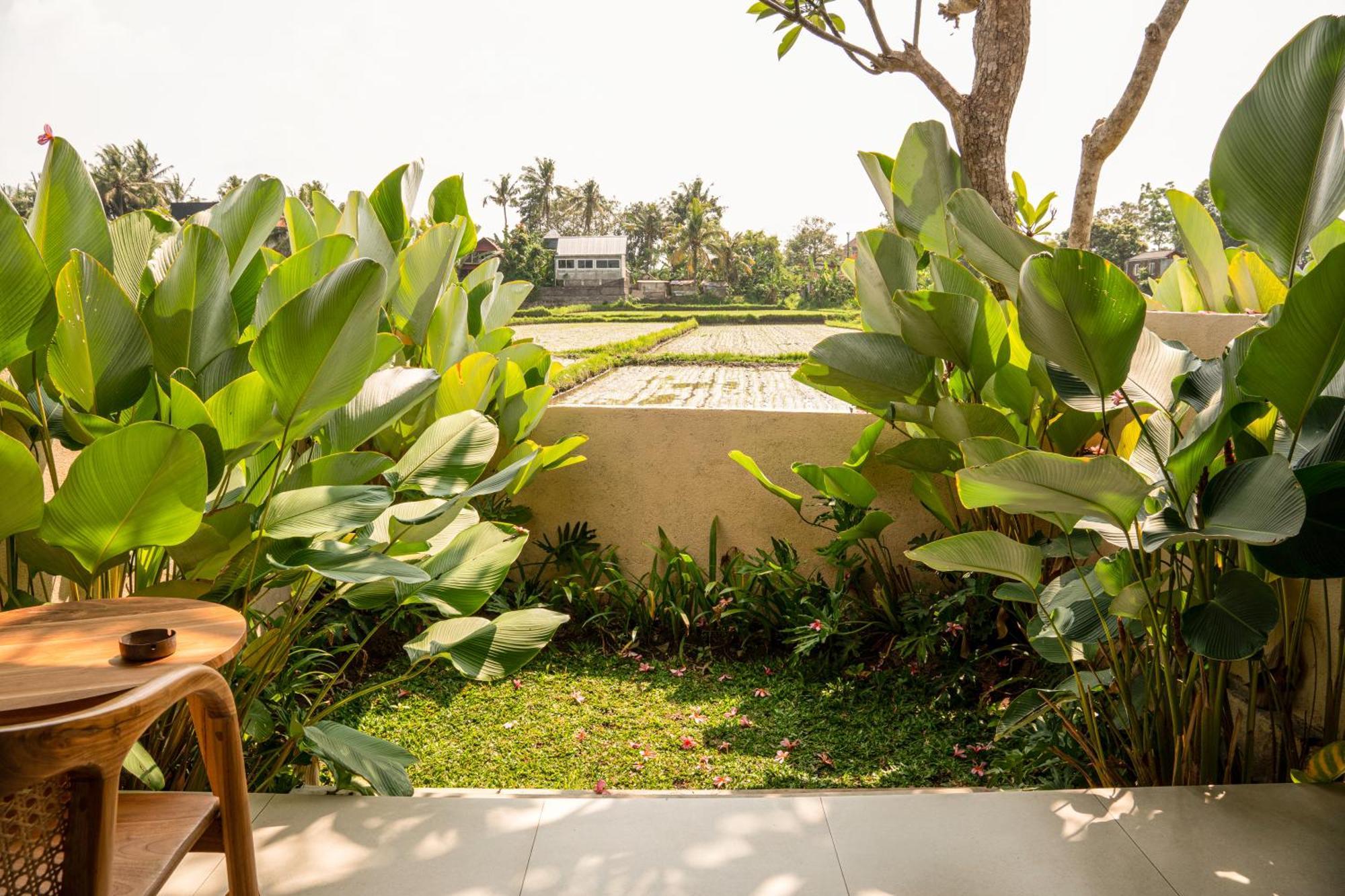 Tut Winten Villa Ubud Exteriér fotografie